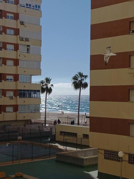 Alegrias De Cadiz By Gades Gestion Lejlighed Eksteriør billede
